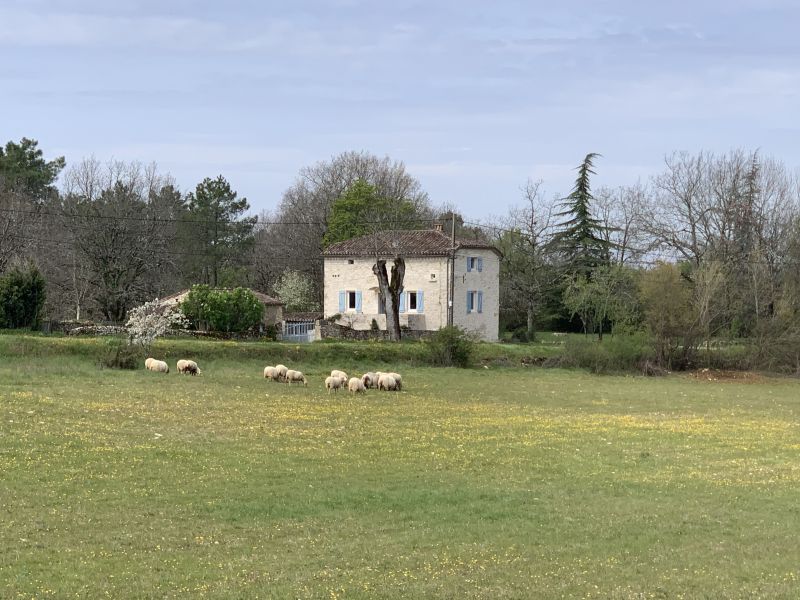 photo 1 Location entre particuliers Cahors maison Midi-Pyrnes Lot