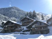 Locations vacances Alpes Franaises pour 12 personnes: chalet n 128823