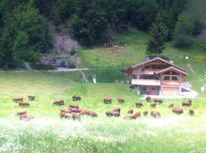 photo 13 Location entre particuliers Le Grand Bornand chalet Rhne-Alpes Haute-Savoie Vue depuis la location