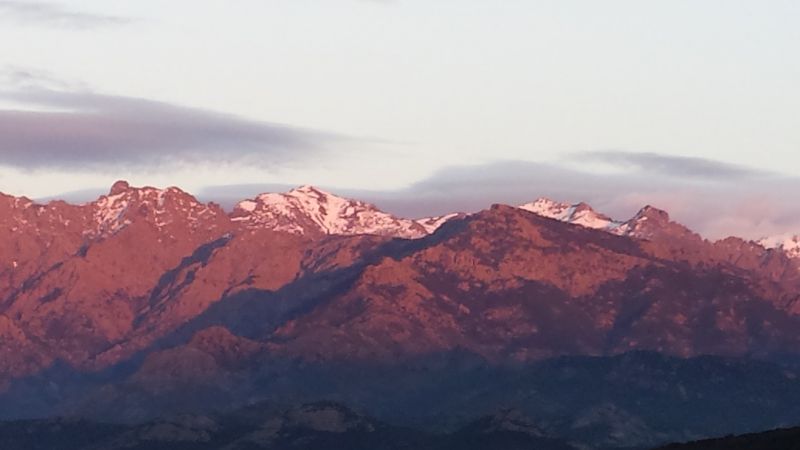 photo 15 Location entre particuliers Calvi appartement Corse Haute-Corse Vue de la terrasse