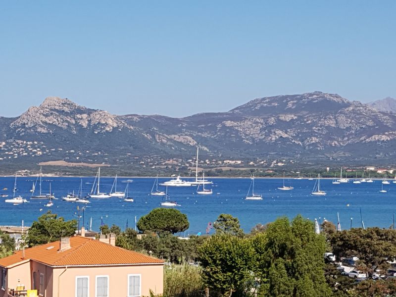 photo 0 Location entre particuliers Calvi appartement Corse Haute-Corse