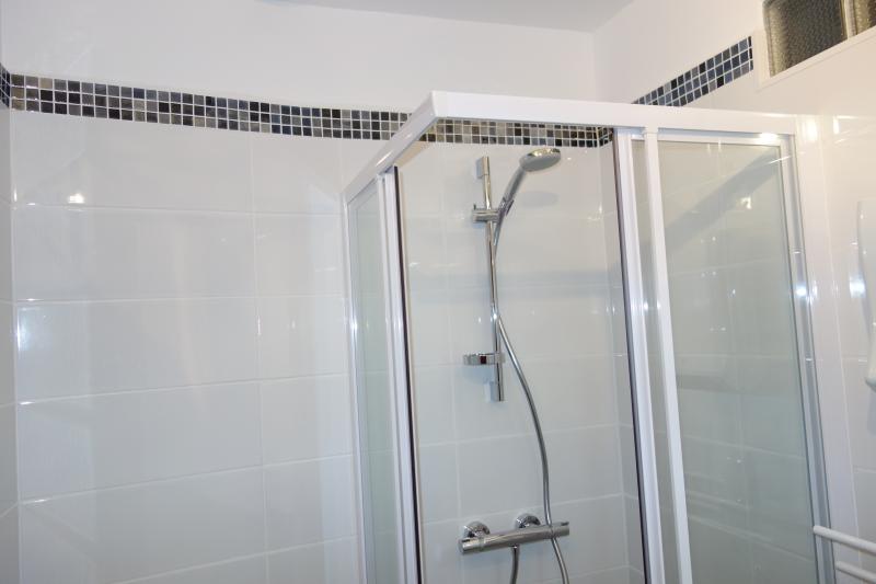 photo 3 Location entre particuliers Ax Les Thermes appartement Midi-Pyrnes Arige salle de bain