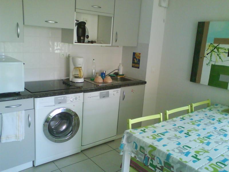 photo 1 Location entre particuliers Ciboure appartement Aquitaine Pyrnes-Atlantiques Coin cuisine