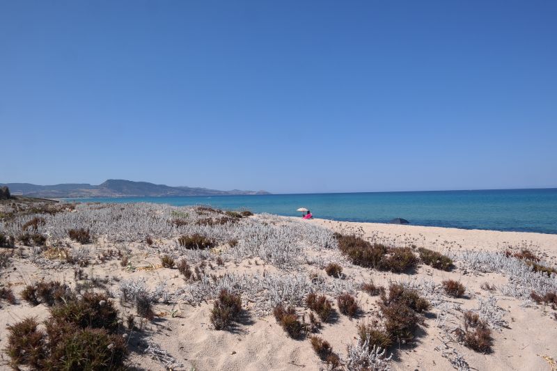 photo 16 Location entre particuliers Badesi maison Sardaigne Olbia Tempio (province de) Plage