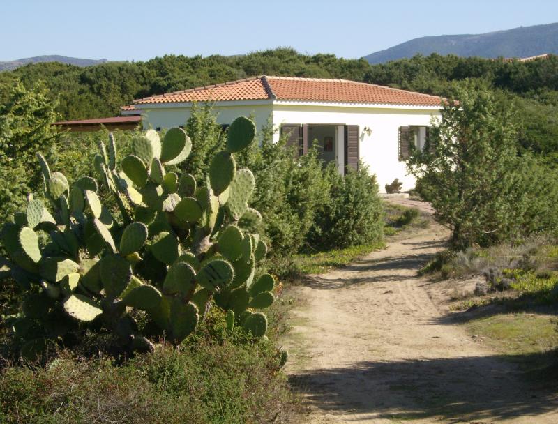 photo 0 Location entre particuliers Badesi maison Sardaigne Olbia Tempio (province de) Vue extrieure de la location