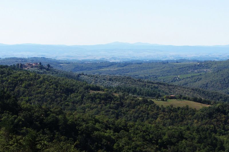 photo 23 Location entre particuliers Sienne villa Toscane Sienne (province de) Vue depuis la location