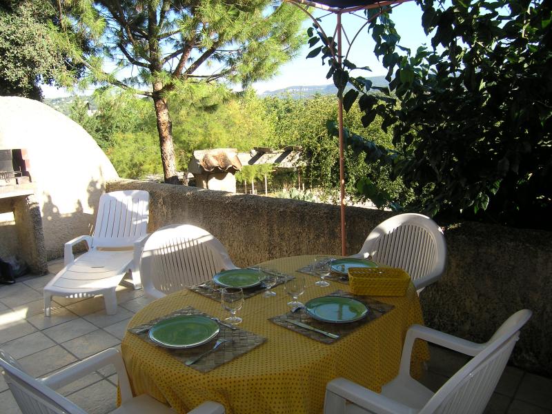 photo 8 Location entre particuliers Apt gite Provence-Alpes-Cte d'Azur Vaucluse Terrasse