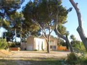 Locations vacances: appartement n 83431