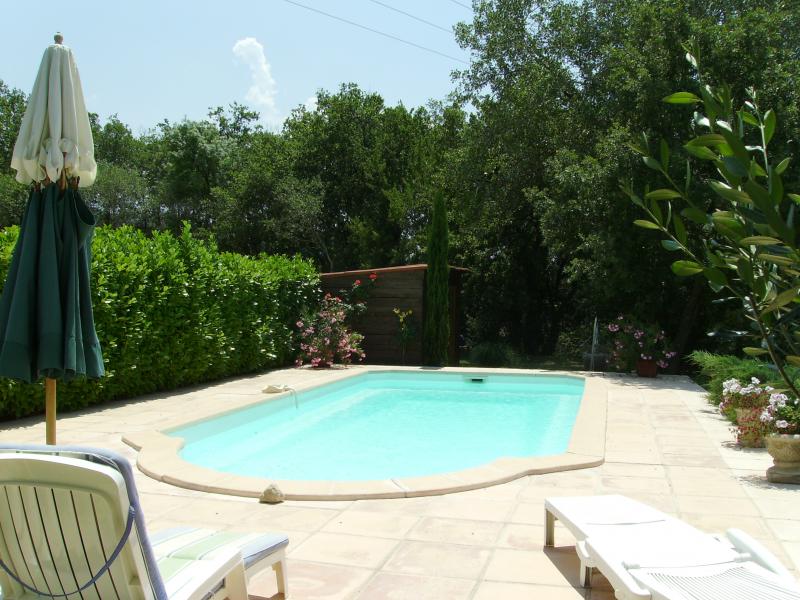 photo 2 Location entre particuliers Apt gite Provence-Alpes-Cte d'Azur Vaucluse Piscine