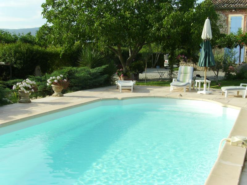 photo 17 Location entre particuliers Apt gite Provence-Alpes-Cte d'Azur Vaucluse Piscine