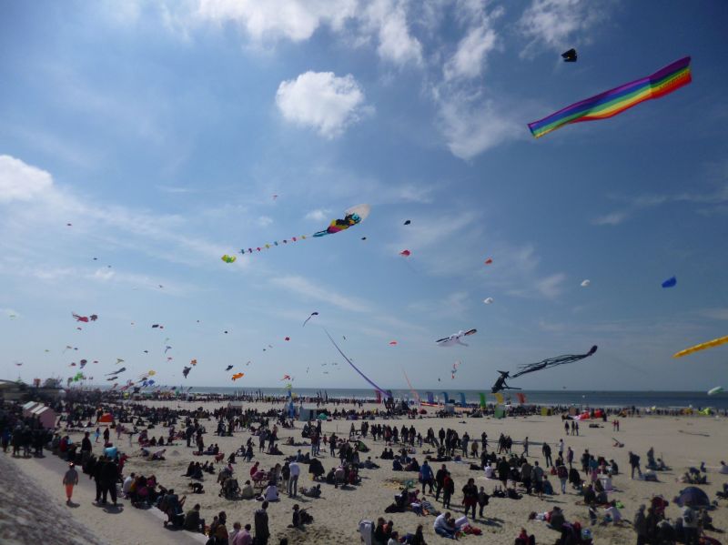 photo 22 Location entre particuliers Berck-Plage studio Nord-Pas de Calais Pas de Calais Plage