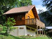 Locations vacances Grardmer: chalet n 94127