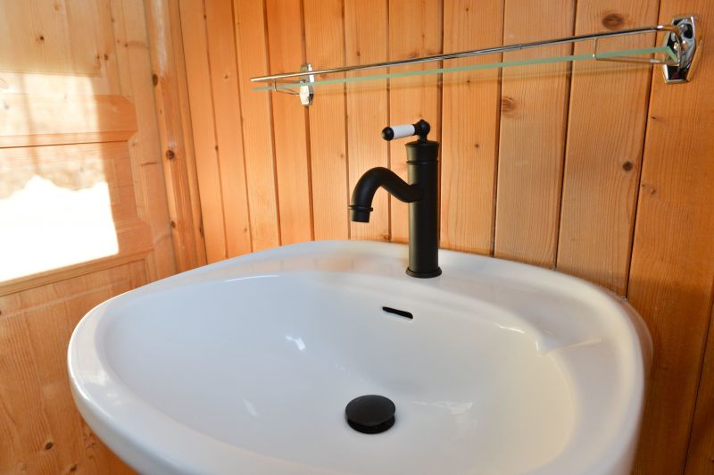 photo 13 Location entre particuliers Grardmer chalet Lorraine Vosges salle de bain