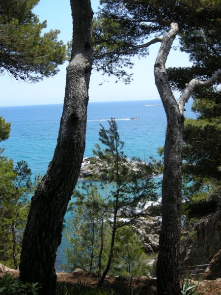 photo 2 Location entre particuliers Sant Antoni de Calonge appartement Catalogne Grone (province de) Vue de la terrasse