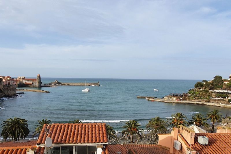 photo 0 Location entre particuliers Collioure appartement Languedoc-Roussillon Pyrnes-Orientales