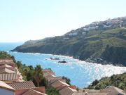 Locations vacances Banyuls-Sur-Mer pour 4 personnes: appartement n 105074