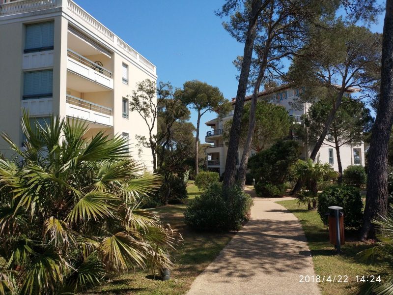 photo 1 Location entre particuliers Frjus appartement Provence-Alpes-Cte d'Azur Var Jardin