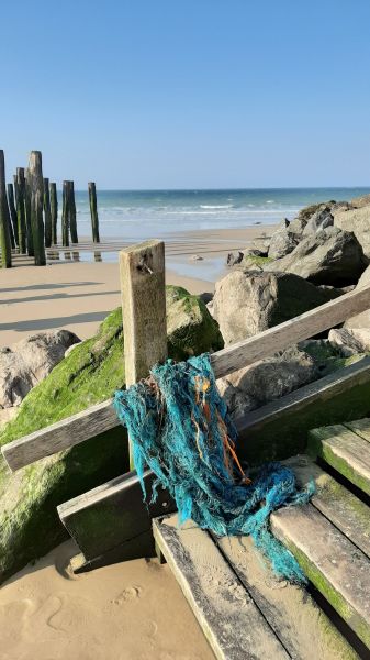 photo 22 Location entre particuliers Wissant gite Nord-Pas de Calais Pas de Calais Plage