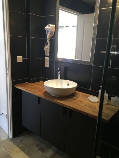 photo 9 Location entre particuliers Le Lavandou appartement Provence-Alpes-Cte d'Azur Var salle de bain