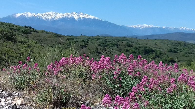 photo 14 Location entre particuliers Banyuls-sur-Mer appartement Languedoc-Roussillon Pyrnes-Orientales Vue autre