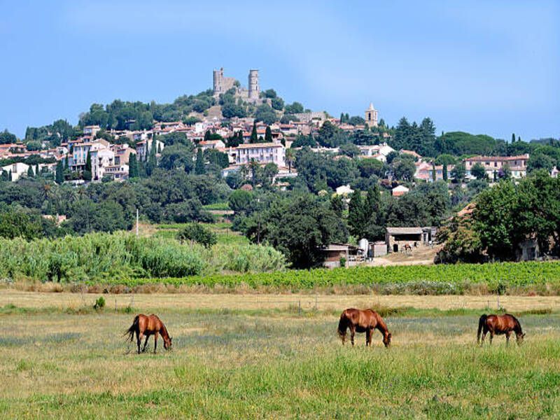 photo 23 Location entre particuliers Grimaud appartement Provence-Alpes-Cte d'Azur Var