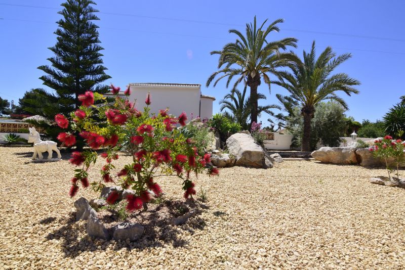 photo 3 Location entre particuliers Calpe villa Communaut Valencienne Alicante (province de) Jardin