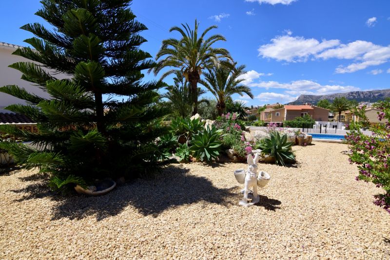 photo 27 Location entre particuliers Calpe villa Communaut Valencienne Alicante (province de) Jardin