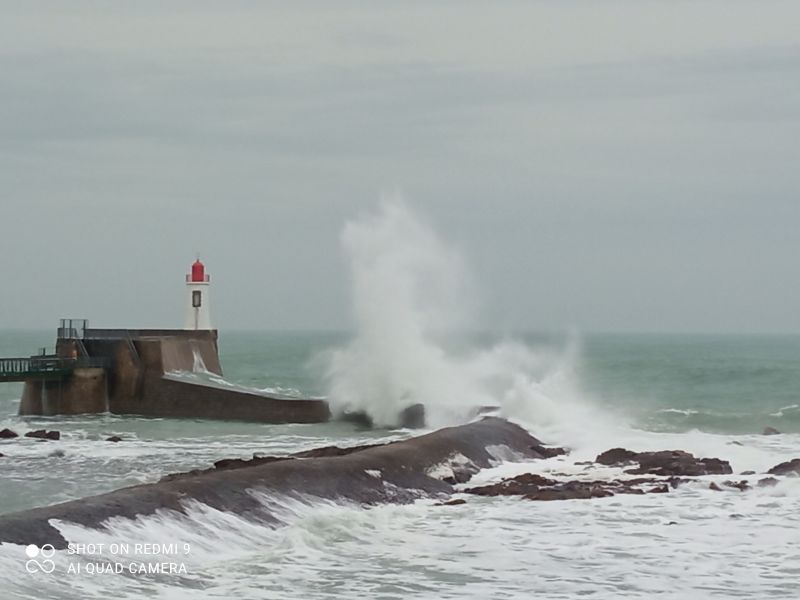 photo 22 Location entre particuliers Les  Sables d'Olonne appartement Pays de la Loire Vende