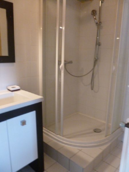 photo 4 Location entre particuliers Thollon Les Mmises appartement Rhne-Alpes Haute-Savoie salle de bain