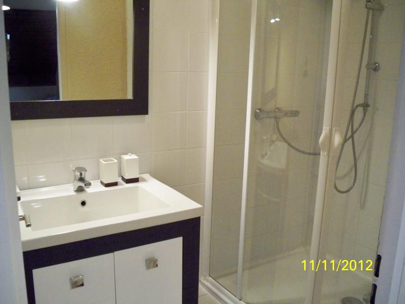 photo 3 Location entre particuliers Thollon Les Mmises appartement Rhne-Alpes Haute-Savoie salle de bain