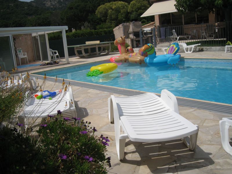 photo 25 Location entre particuliers Sainte Maxime maison Provence-Alpes-Cte d'Azur Var Piscine