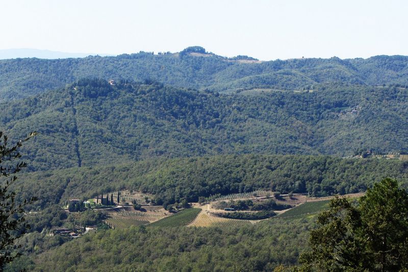 photo 27 Location entre particuliers Sienne gite Toscane  Vue depuis la location