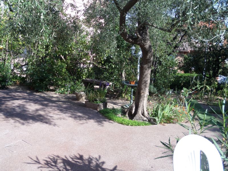 photo 13 Location entre particuliers Saint Raphael appartement Provence-Alpes-Cte d'Azur Var Jardin