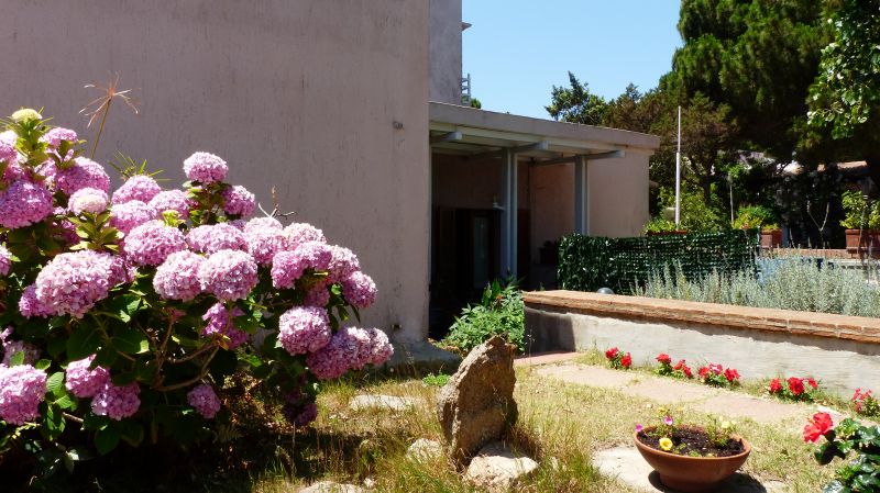 photo 6 Location entre particuliers Santa Teresa di Gallura appartement Sardaigne Olbia Tempio (province de) Jardin