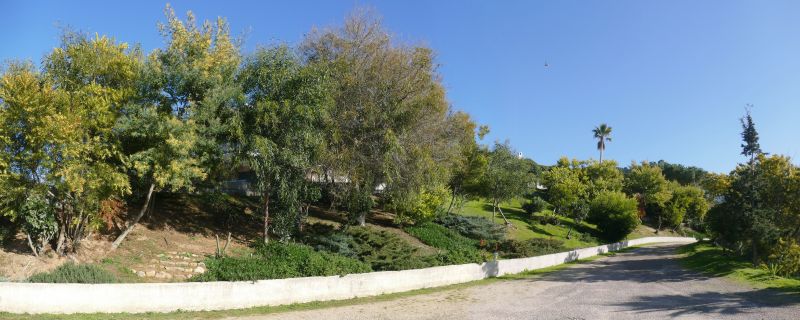 photo 14 Location entre particuliers Pietrosella appartement Corse Corse du Sud Jardin