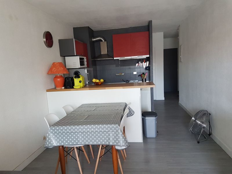 photo 0 Location entre particuliers Saint Cyprien Plage appartement Languedoc-Roussillon Pyrnes-Orientales