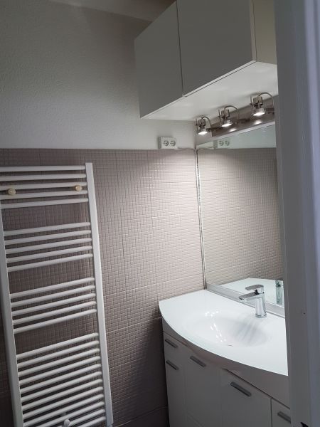 photo 6 Location entre particuliers Saint Cyprien Plage appartement Languedoc-Roussillon Pyrnes-Orientales salle de bain