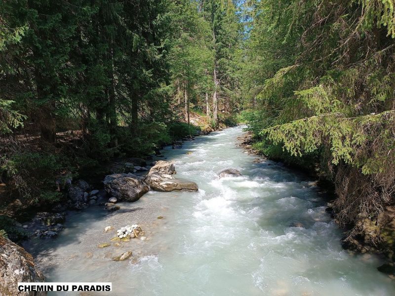 photo 17 Location entre particuliers Chamonix Mont-Blanc appartement Rhne-Alpes Haute-Savoie Vue autre