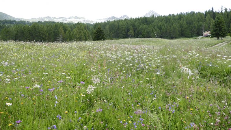 photo 10 Location entre particuliers Les Arcs studio Rhne-Alpes Savoie Vue  proximit