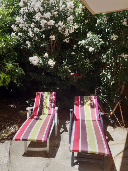 photo 11 Location entre particuliers La Seyne sur Mer appartement Provence-Alpes-Cte d'Azur Var Jardin