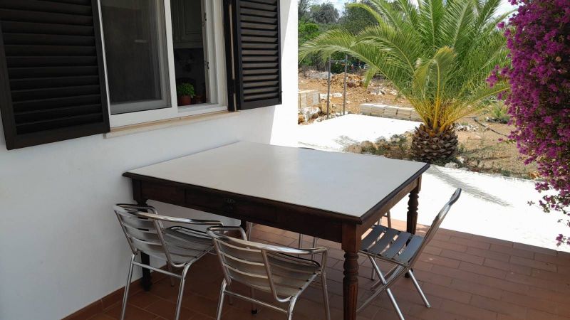 photo 17 Location entre particuliers Silves maison Algarve  Jardin