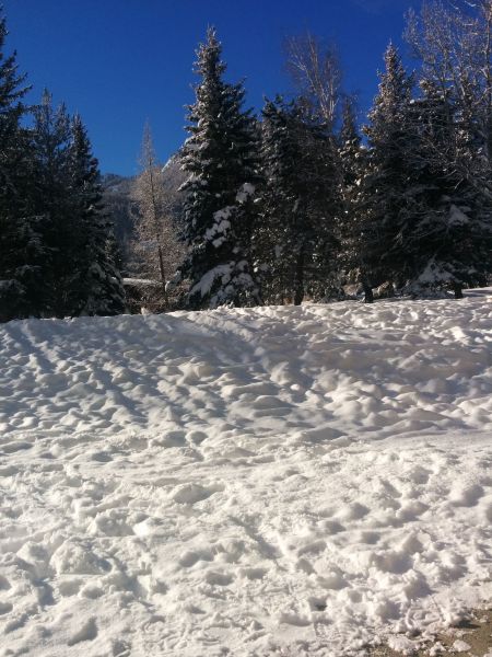 photo 1 Location entre particuliers Serre Chevalier studio Provence-Alpes-Cte d'Azur Hautes-Alpes Jardin