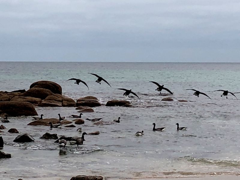 photo 23 Location entre particuliers Barfleur maison Basse-Normandie Manche Vue  proximit