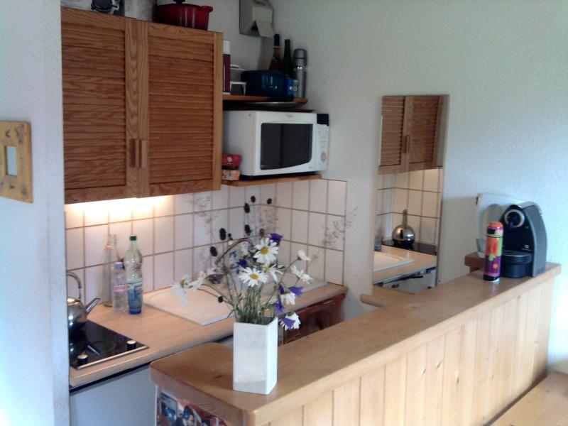 photo 4 Location entre particuliers Mribel appartement Rhne-Alpes Savoie Cuisine amricaine