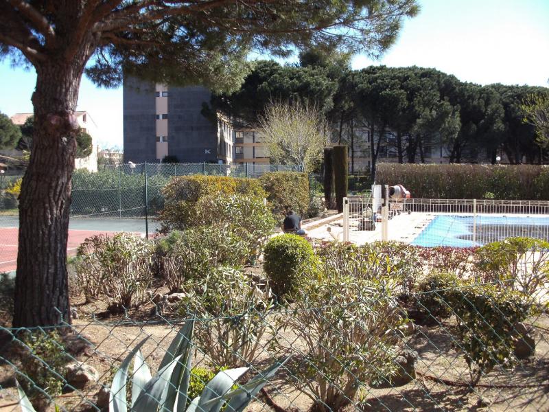 photo 13 Location entre particuliers Frjus studio Provence-Alpes-Cte d'Azur Var Piscine