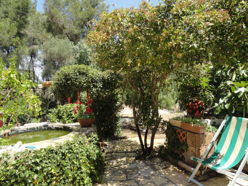 photo 3 Location entre particuliers La Seyne sur Mer maison Provence-Alpes-Cte d'Azur Var Jardin