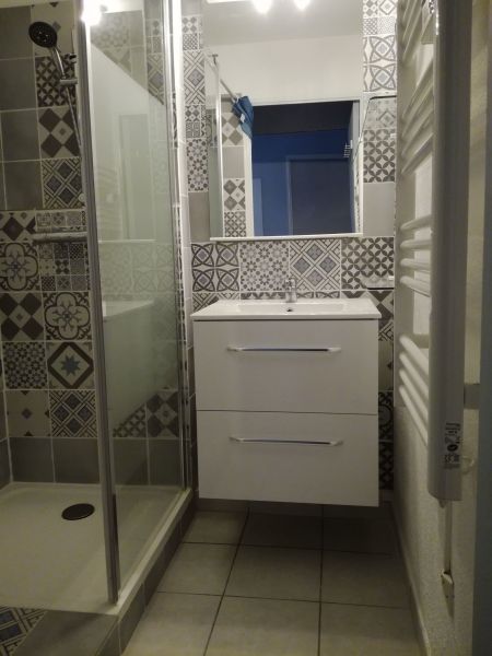 photo 19 Location entre particuliers Saint Cyprien Plage appartement Languedoc-Roussillon Pyrnes-Orientales salle de bain