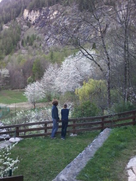 photo 16 Location entre particuliers Courmayeur appartement Val-d'Aoste Aoste (province d') Jardin