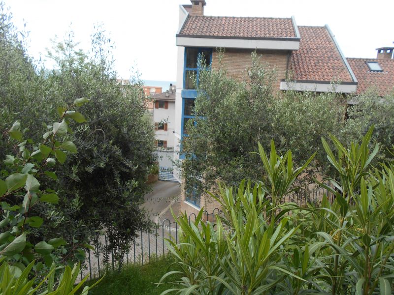 photo 12 Location entre particuliers Cupra Marittima appartement Marches Ascoli Piceno (province d') Jardin