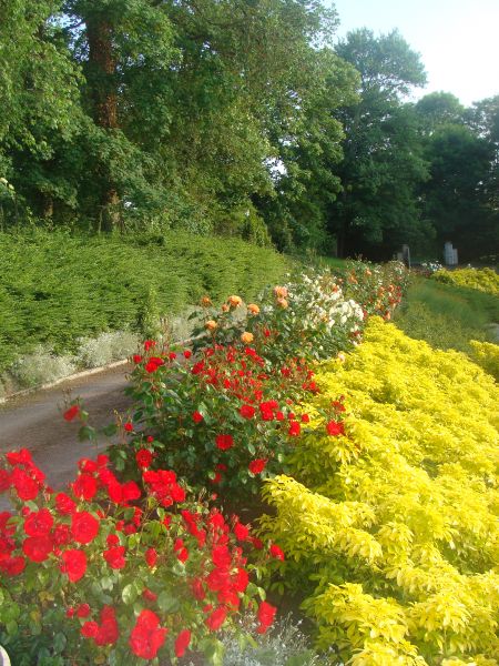 photo 14 Location entre particuliers Arromanches gite Basse-Normandie Calvados Jardin